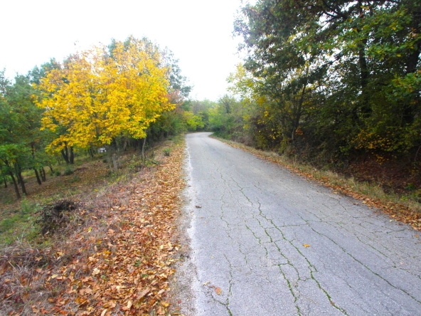 Парцел в с. Костенковци, Област Габрово - 1500 кв.м за 7 €/кв.м - Снимка #1