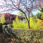 Къща в с. Дебел дял, Област Габрово - 72 кв.м за 706 €/кв.м - Снимка #1