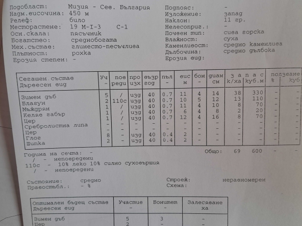 Парцел в Пловдив, Център - 100 кв.м за 16 €/кв.м - Снимка #1