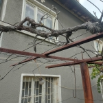 Къща в с. Межда, Област Ямбол - 200 кв.м за 64 €/кв.м - Снимка #1