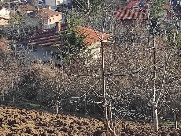 Парцел в с. Кокаляне, Област София-град - 1067 кв.м за 120 €/кв.м - Снимка #1