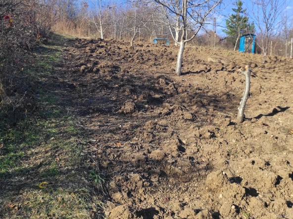 Парцел в с. Кокаляне, Област София-град - 1067 кв.м за 118 €/кв.м - Снимка #1