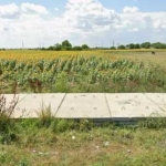 Парцел в Раковски - 3002 кв.м за 8 €/кв.м - Снимка #1