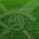 Парцел в с. Труд, Област Пловдив - 988 кв.м за 97 €/кв.м - Снимка #1