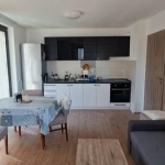 Дава се под наем Двустаен апартамент в София, Кръстова вада - 53 кв.м за 600 € - Снимка #1