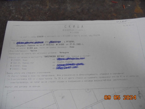 Земеделски имот в Асеновград -  кв.м за 10200 €/дка - Снимка #1