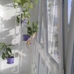 Дава се под наем Двустаен апартамент в Бургас, Лазур - 80 кв.м за 140.25 € - Снимка #1