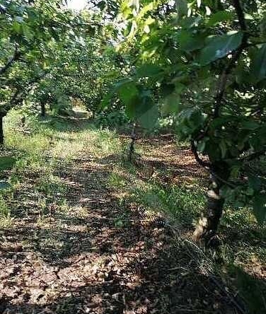 Парцел в Айтос - 1700 кв.м за 24 €/кв.м - Снимка #1