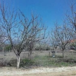 Парцел в Пловдив, Марица Север - 1064 кв.м за 96 €/кв.м - Снимка #1