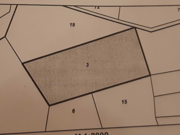 Парцел в Бяла - 4480 кв.м за 6 €/кв.м - Снимка #1