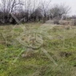 Парцел в с. Татарево, Област Пловдив - 1600 кв.м за 5 €/кв.м - Снимка #1