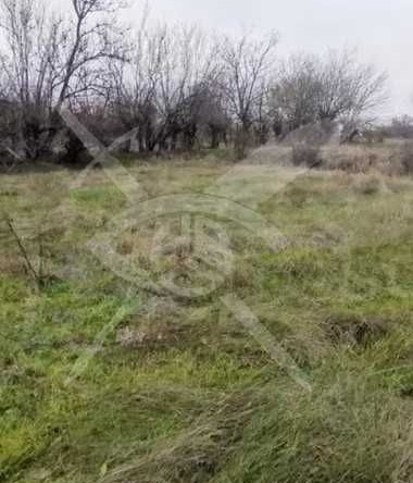 Парцел в с. Татарево, Област Пловдив - 1600 кв.м за 5 €/кв.м - Снимка #1