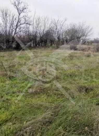 Парцел в с. Татарево, Област Пловдив - 1600 кв.м за 5 €/кв.м - Снимка #1