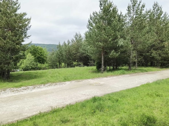 Парцел в Гоце Делчев - 1538 кв.м за 6 €/кв.м - Снимка #1