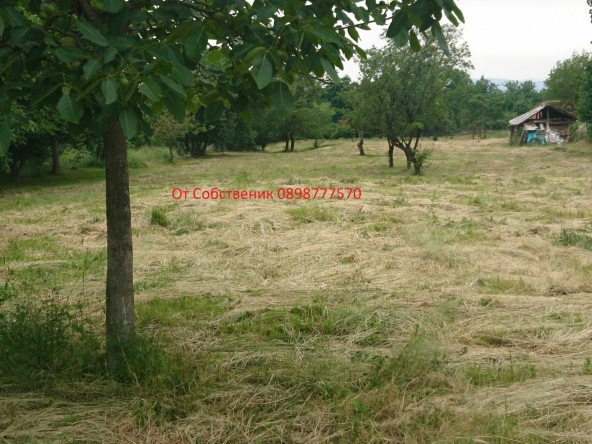 Парцел в Сапарева баня - 1235 кв.м за 52 €/кв.м - Снимка #1