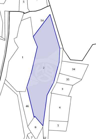 Парцел в с. Визица, Област Бургас - 11503 кв.м за 24 €/кв.м - Снимка #1