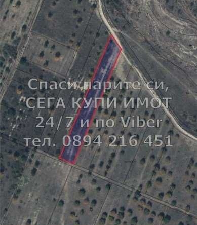Земеделски имот в с. Ръжево Конаре, Област Пловдив -  кв.м за 2601 €/дка - Снимка #1