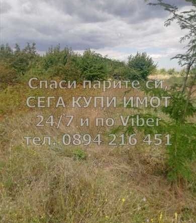 Парцел в с. Брестник, Област Пловдив - 1000 кв.м за 53 €/кв.м - Снимка #1