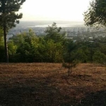 Парцел в Варна, Левски - 1180 кв.м за 77 €/кв.м - Снимка #1