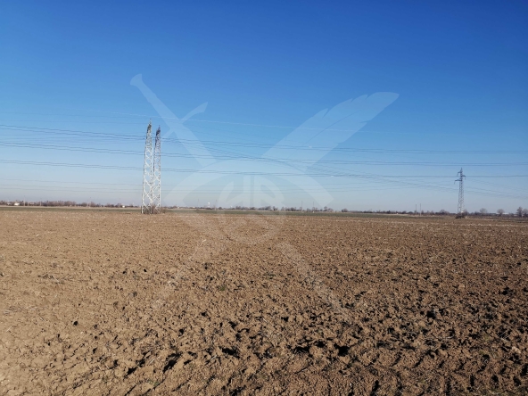 Парцел в Асеновград - 5000 кв.м за 8 €/кв.м - Снимка #1