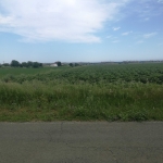 Парцел в Бургас, Сарафово - 3000 кв.м за 12 €/кв.м - Снимка #1