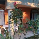 Дава се под наем Двустаен апартамент в Созопол - 50 кв.м за 210 € - Снимка #1