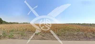 Парцел в с. Ясна поляна, Област Бургас - 6000 кв.м за 5 €/кв.м - Снимка #1