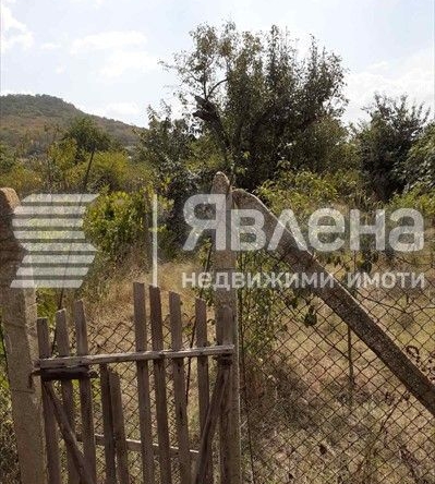 Парцел в Девня - 1000 кв.м за 38 €/кв.м - Снимка #1