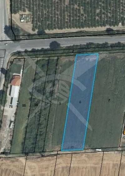 Парцел в с. Златитрап, Област Пловдив - 4299 кв.м за 31 €/кв.м - Снимка #1
