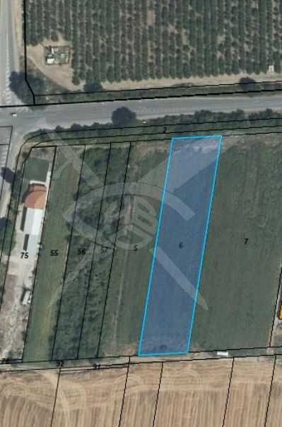 Парцел в с. Златитрап, Област Пловдив - 4299 кв.м за 16 €/кв.м - Снимка #1