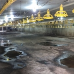 Промишлена сграда в с. Ушинци, Област Разград - 1620 кв.м за 189 €/кв.м - Снимка #1