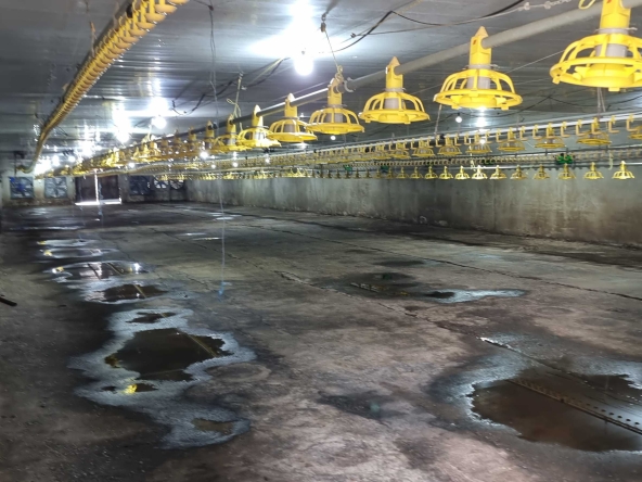 Промишлена сграда в с. Ушинци, Област Разград - 1620 кв.м за 189 €/кв.м - Снимка #1