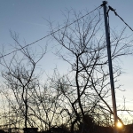 Парцел в Варна, Автогара - 600 кв.м за 67 €/кв.м - Снимка #1