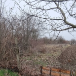 Парцел в Разград, Промишлена зона - Запад - 728 кв.м за 6 €/кв.м - Снимка #1