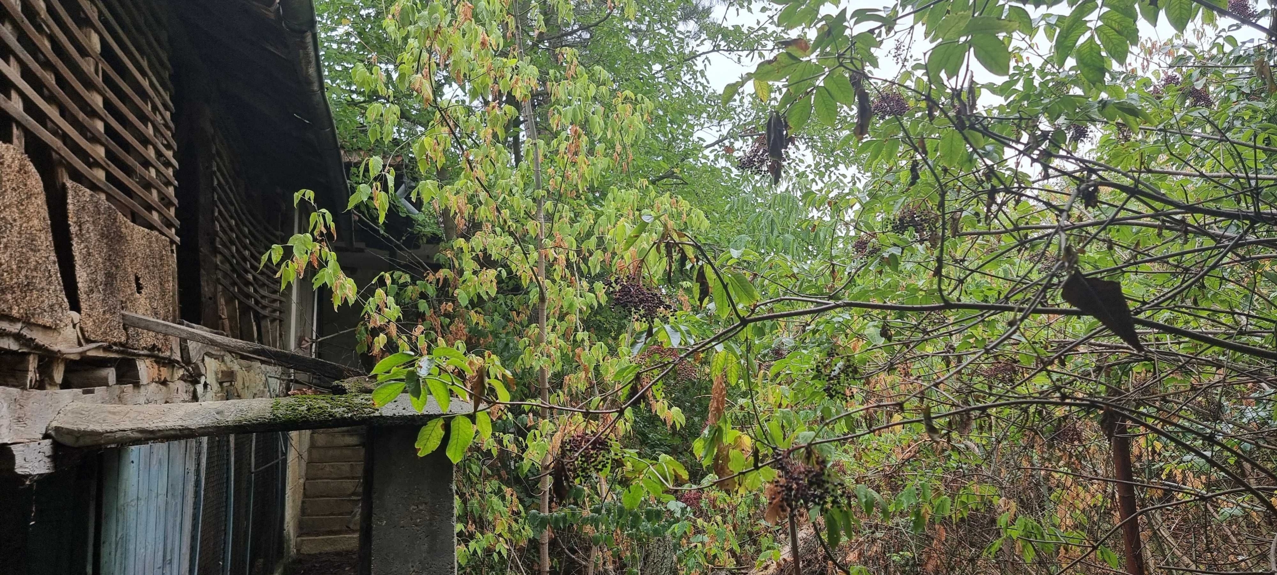 Къща в с. Дряновец, Област Разград - 50 кв.м за 255 €/кв.м - Снимка #1