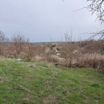 Парцел в с. Пороище, Област Разград - 1050 кв.м за 17 €/кв.м - Снимка #1