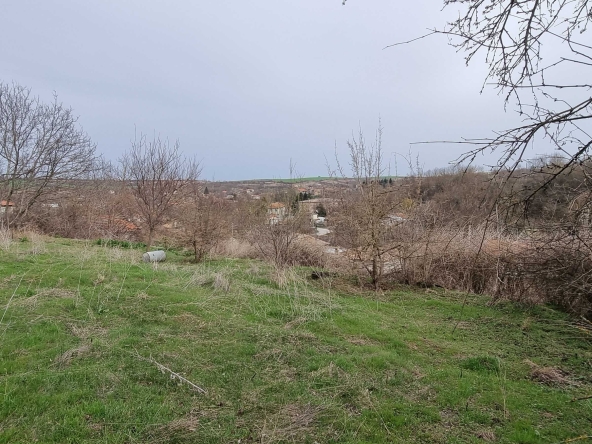 Парцел в с. Пороище, Област Разград - 1050 кв.м за 17 €/кв.м - Снимка #1