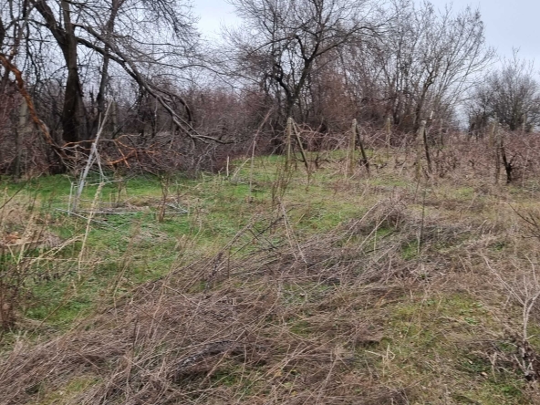 Парцел в с. Дянково, Област Разград - 1524 кв.м за 5 €/кв.м - Снимка #1