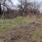 Парцел в с. Дянково, Област Разград - 1524 кв.м за 5 €/кв.м - Снимка #1