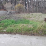 Парцел в с. Великденче, Област Търговище - 780 кв.м за 10 €/кв.м - Снимка #1