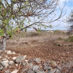 Парцел в с. Ушинци, Област Разград - 1170 кв.м за 13 €/кв.м - Снимка #1