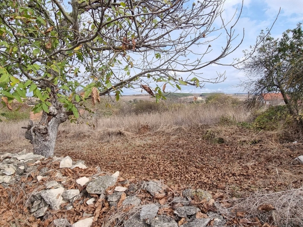 Парцел в с. Ушинци, Област Разград - 1170 кв.м за 13 €/кв.м - Снимка #1