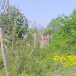 Парцел в с. Първенец, Област Пловдив - 2750 кв.м за 12 €/кв.м - Снимка #1