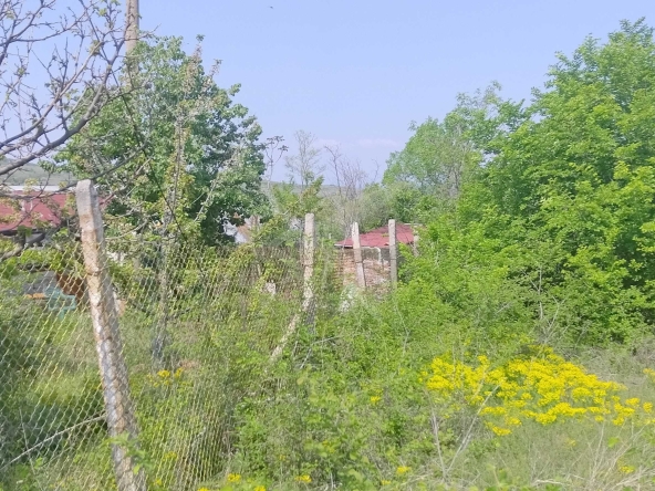 Парцел в с. Първенец, Област Пловдив - 2750 кв.м за 12 €/кв.м - Снимка #1