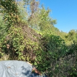 Парцел в Разград, Промишлена зона - Запад - 1018 кв.м за 28 €/кв.м - Снимка #1