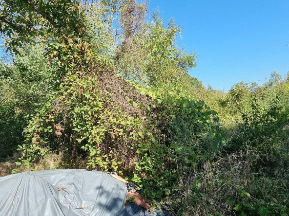 Парцел в Разград, Промишлена зона - Запад - 1018 кв.м за 28 €/кв.м - Снимка #1