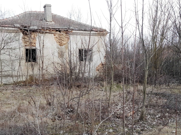 Къща в с. Пчеларово, Област Добрич - 90 кв.м за 46 €/кв.м - Снимка #1