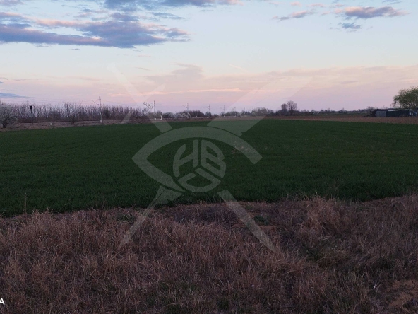 Парцел в с. Рогош, Област Пловдив - 7563 кв.м за 9 €/кв.м - Снимка #1