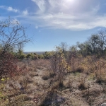 Парцел в Разград, Промишлена зона - Запад - 2850 кв.м за 4 €/кв.м - Снимка #1