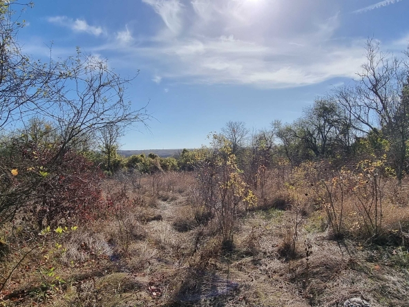 Парцел в Разград, Промишлена зона - Запад - 2850 кв.м за 4 €/кв.м - Снимка #1